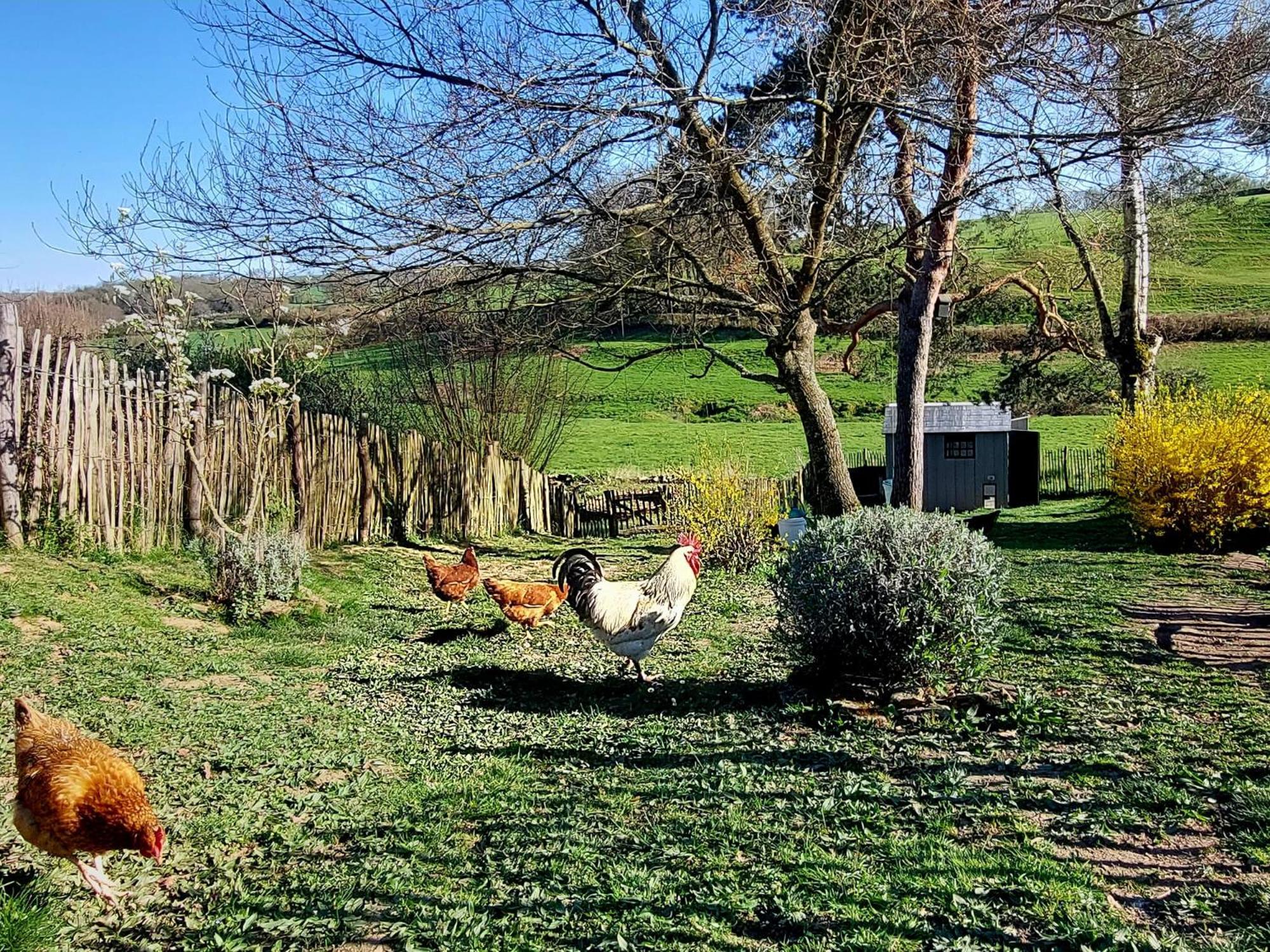 Maison Du Grand Moulin Saint-Aubin-en-Charollais エクステリア 写真