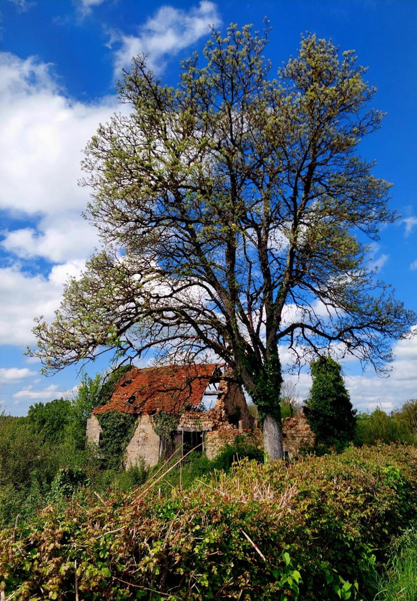 Maison Du Grand Moulin Saint-Aubin-en-Charollais エクステリア 写真